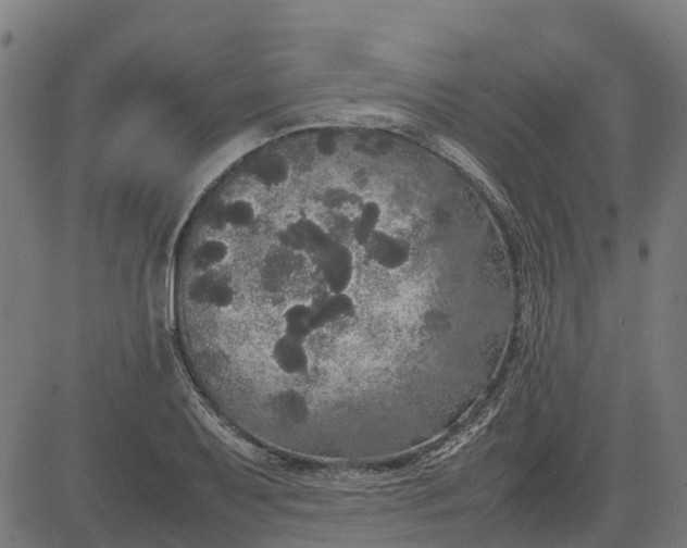 X0000082691079200702091651