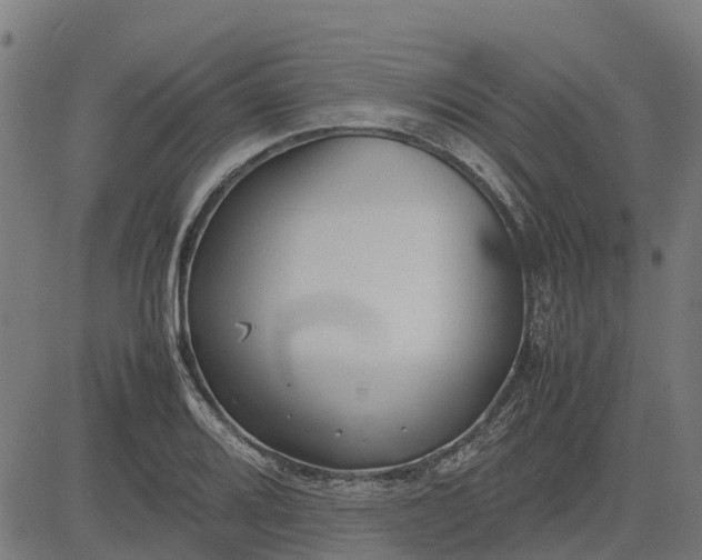 X0000082691080200702091651