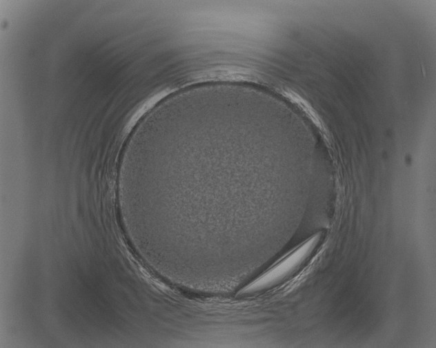 X0000082691081200702091651