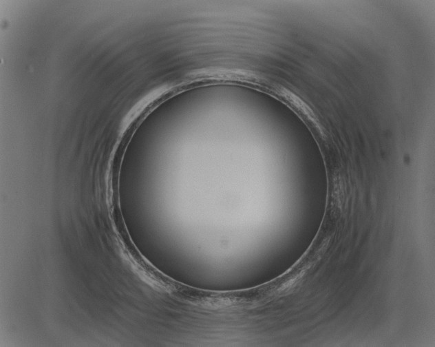 X0000082691082200702091651