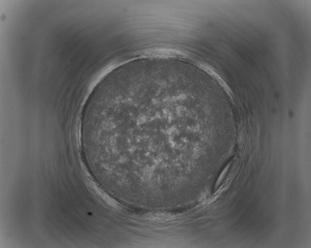 X0000082691083200702091651