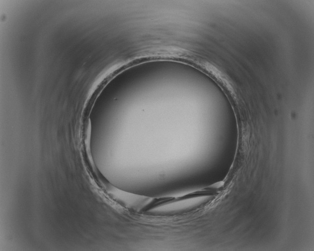 X0000082691085200702091651