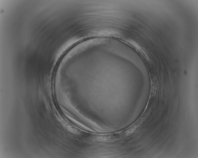 X0000082691086200702091651