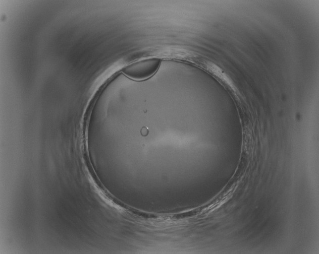 X0000082691087200702091651