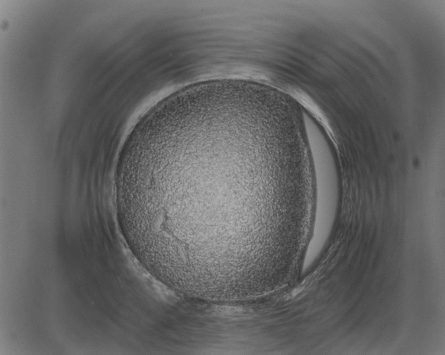 X0000082691088200702091651