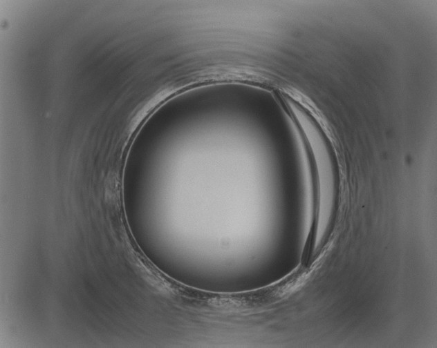 X0000082691089200702091651