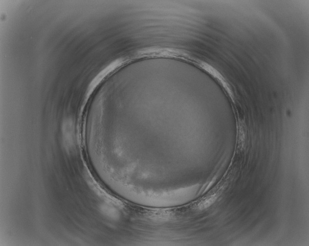 X0000082691090200702091651