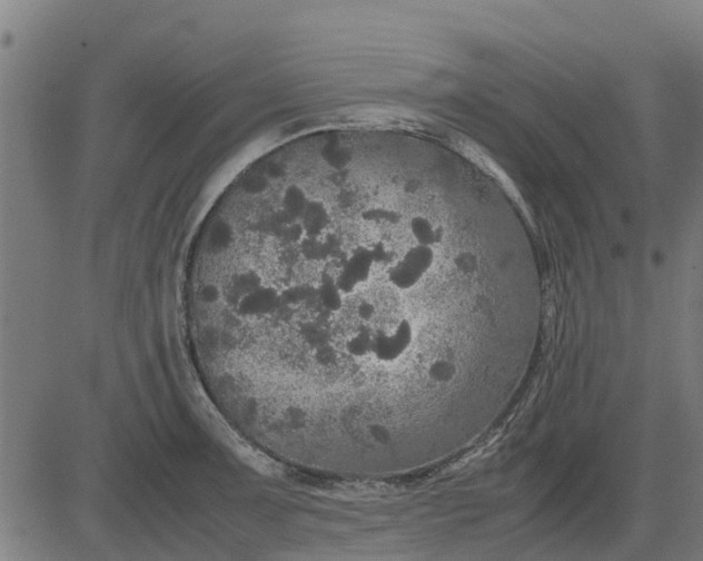 X0000082691091200702091651