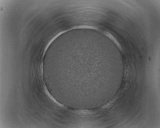 X0000082691092200702091651