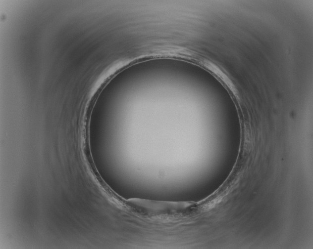 X0000082691093200702091651