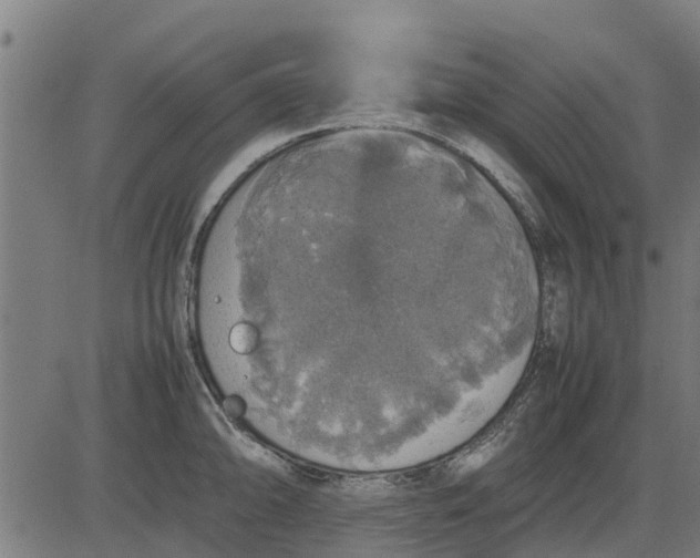 X0000082691094200702091651