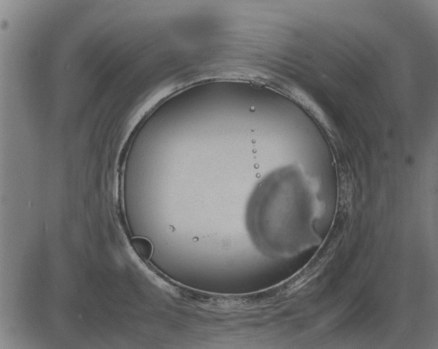 X0000082691095200702091651