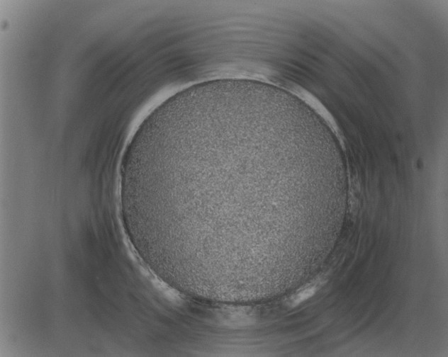 X0000082691096200702091651