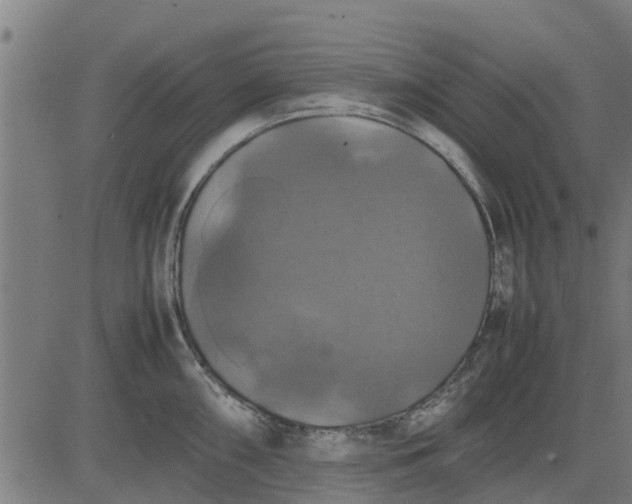 X0000082691098200702091651