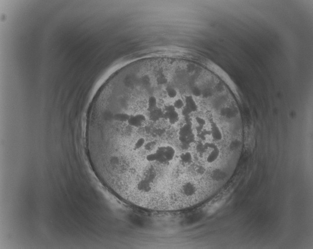 X0000082691099200702091651