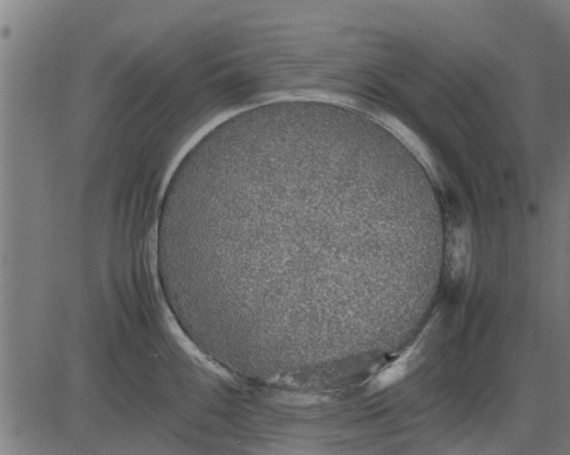 X0000082691100200702091651