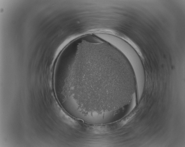 X0000082691102200702091651