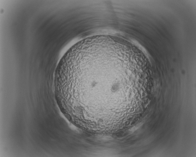 X0000082691103200702091651