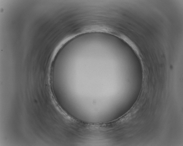 X0000082691104200702091651