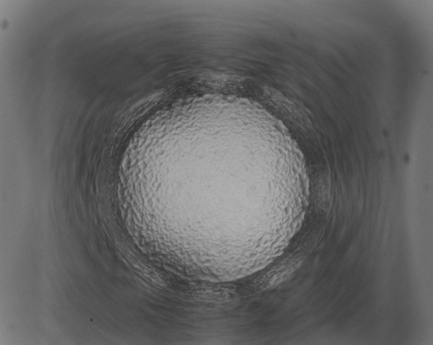 X0000082691105200702091650