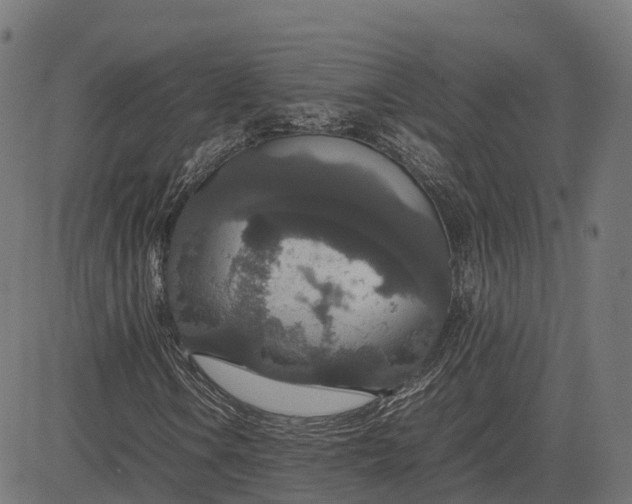 X0000082691106200702091650