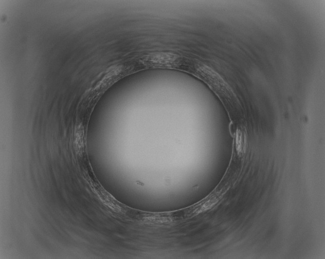 X0000082691107200702091650