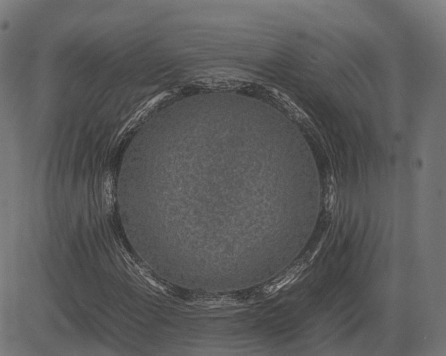 X0000082691108200702091650