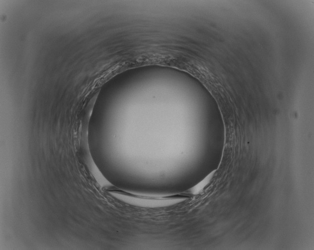 X0000082691109200702091650