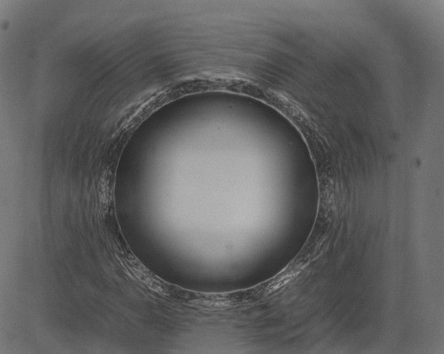 X0000082691110200702091650