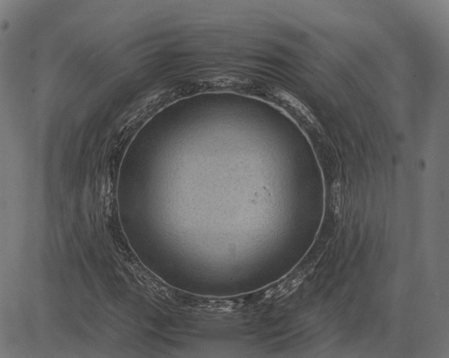 X0000082691111200702091650