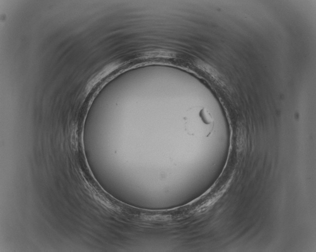 X0000082691113200702091650