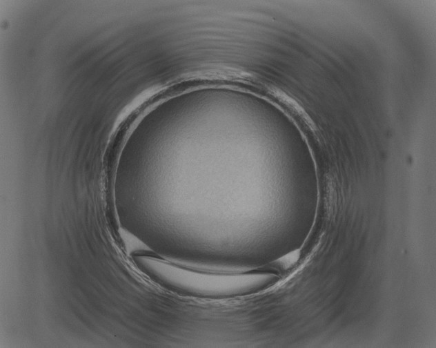 X0000082691114200702091650