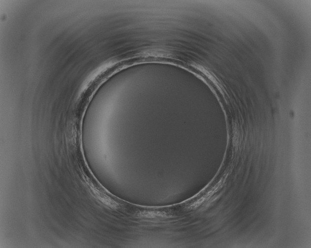 X0000082691115200702091650