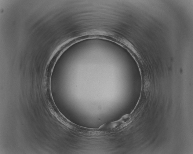 X0000082691116200702091650