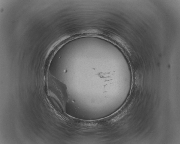 X0000082691117200702091650