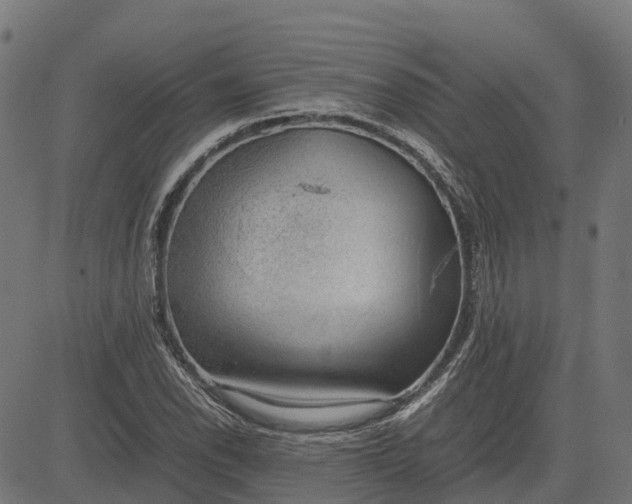 X0000082691118200702091650