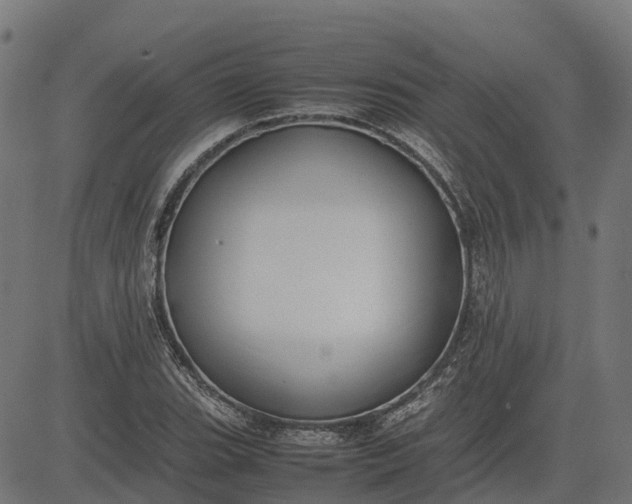 X0000082691119200702091650