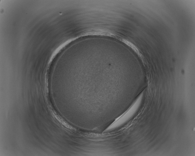 X0000082691120200702091650