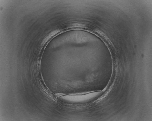 X0000082691121200702091650