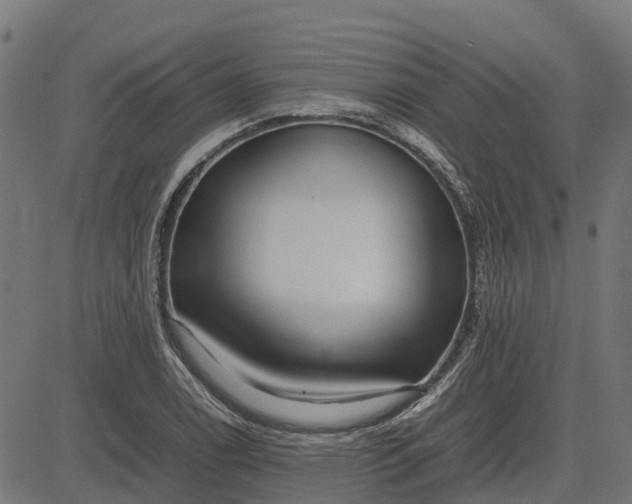 X0000082691122200702091650