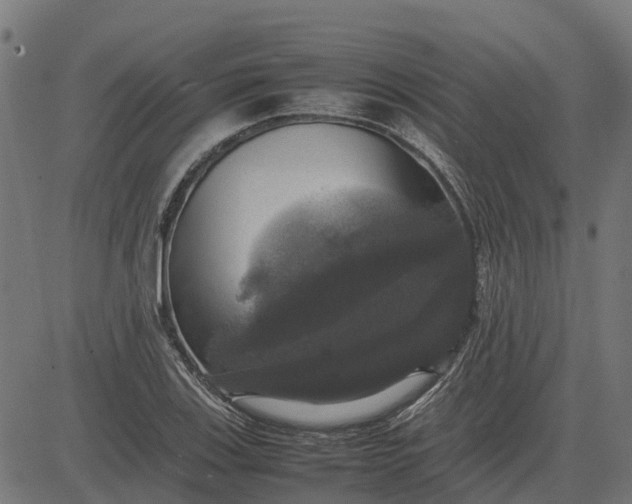 X0000082691123200702091650