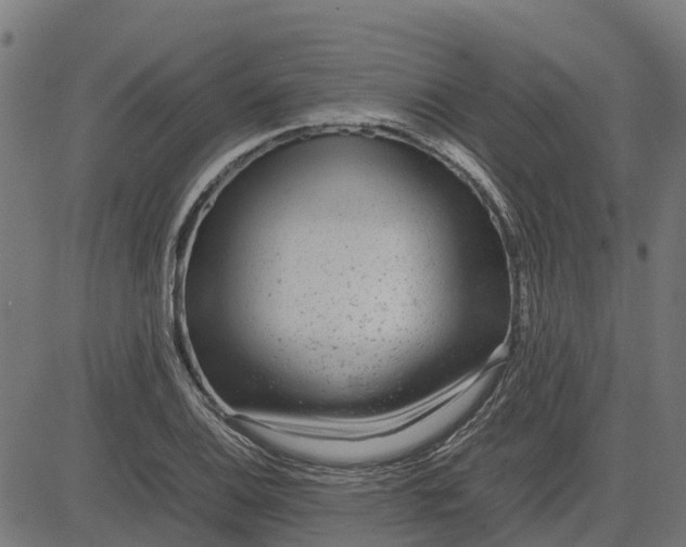 X0000082691124200702091650