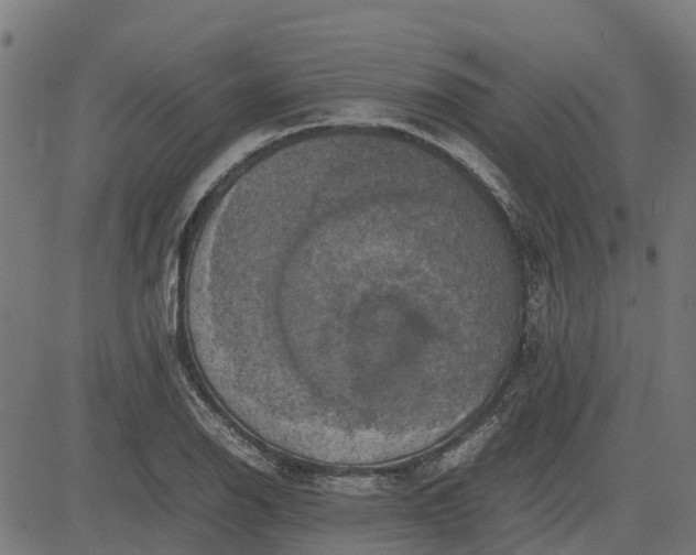 X0000082691126200702091650