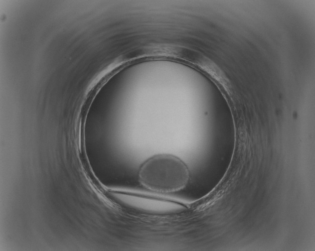 X0000082691127200702091650