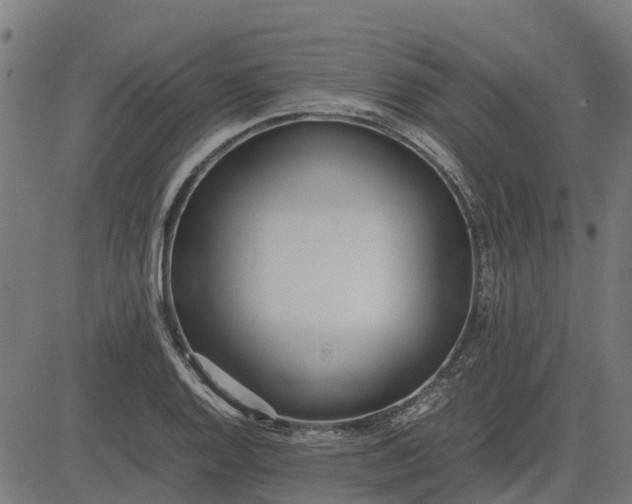 X0000082691128200702091650