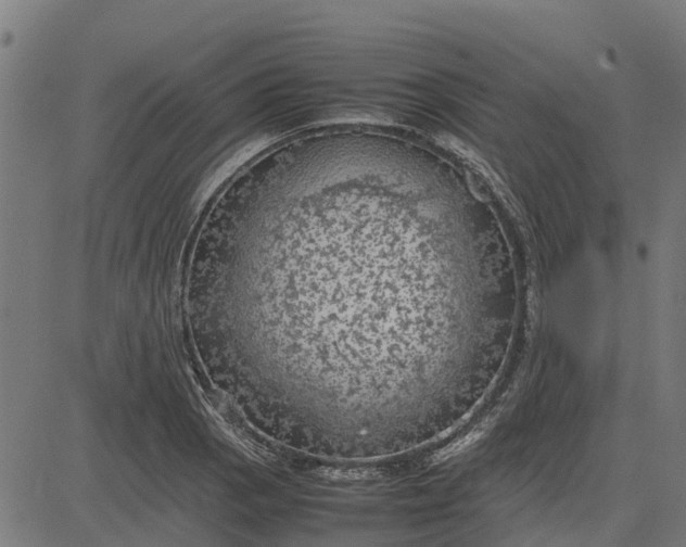 X0000082691129200702091650