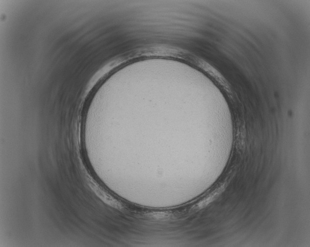 X0000082691130200702091650