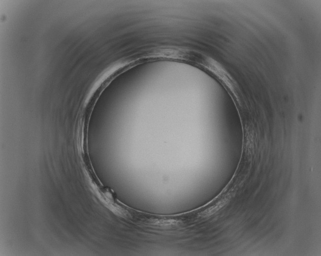 X0000082691131200702091650