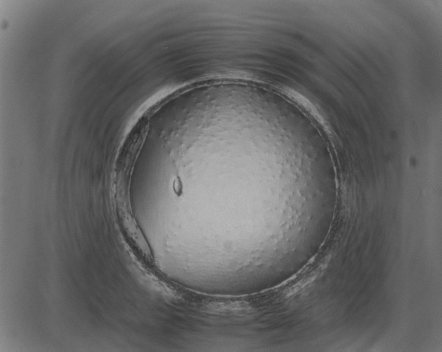 X0000082691133200702091651