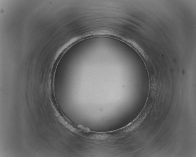 X0000082691134200702091651